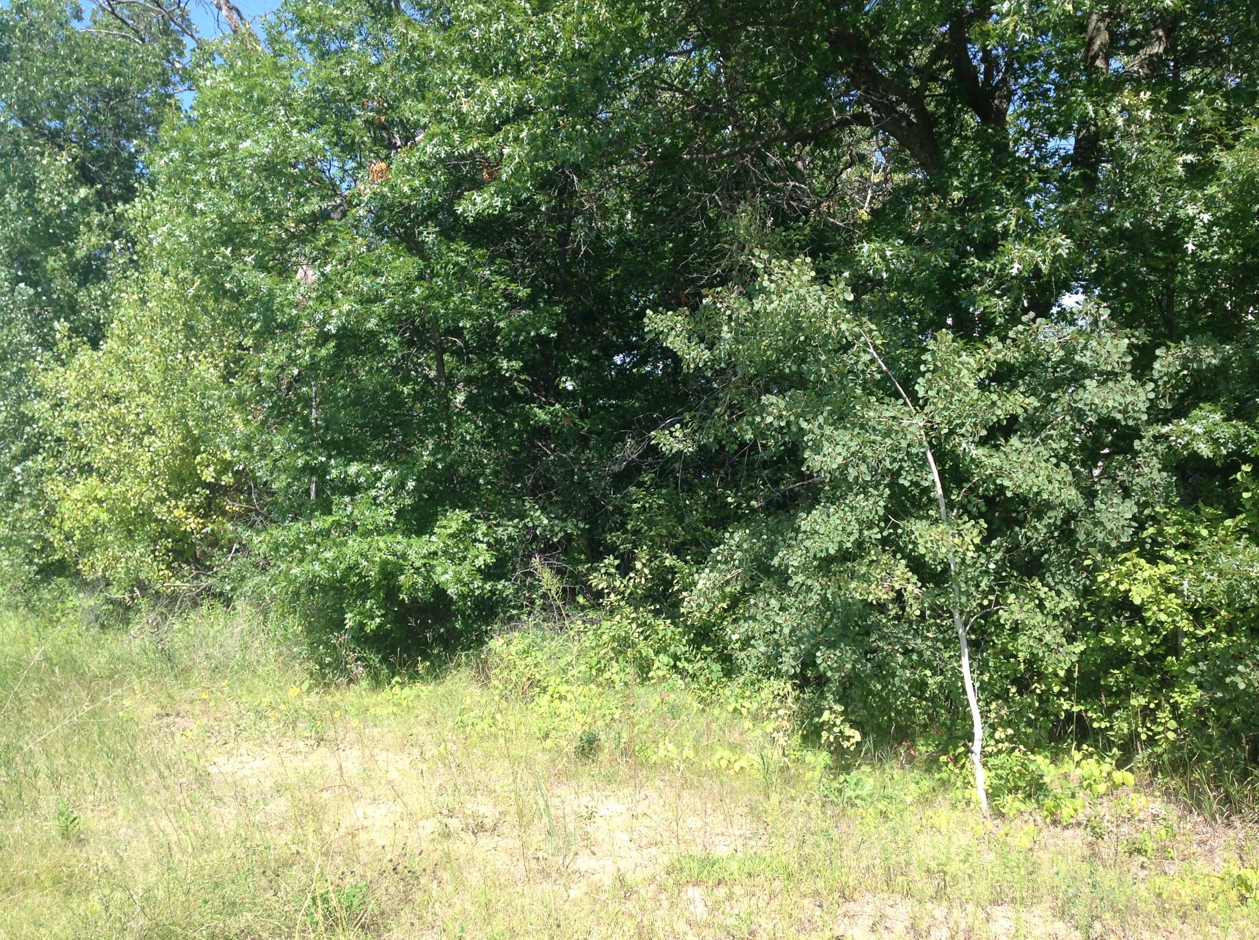 Re/Max Results Lot in Cambridge MN just listed 25K r